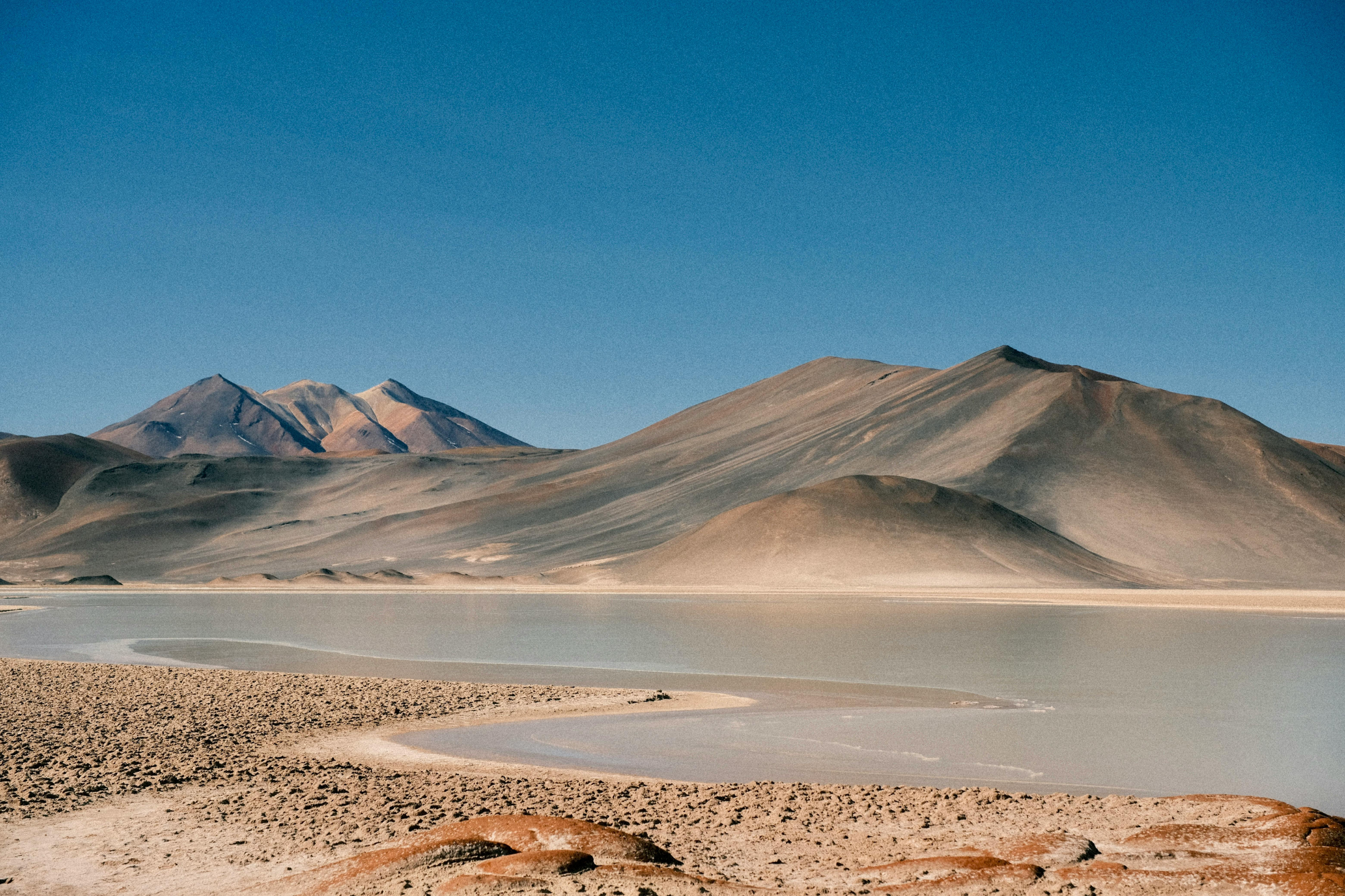 atacama desert, south america (4).webp